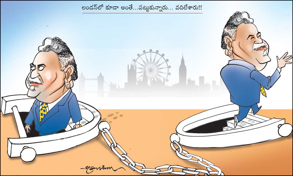 Click to Enlaege Cartoon